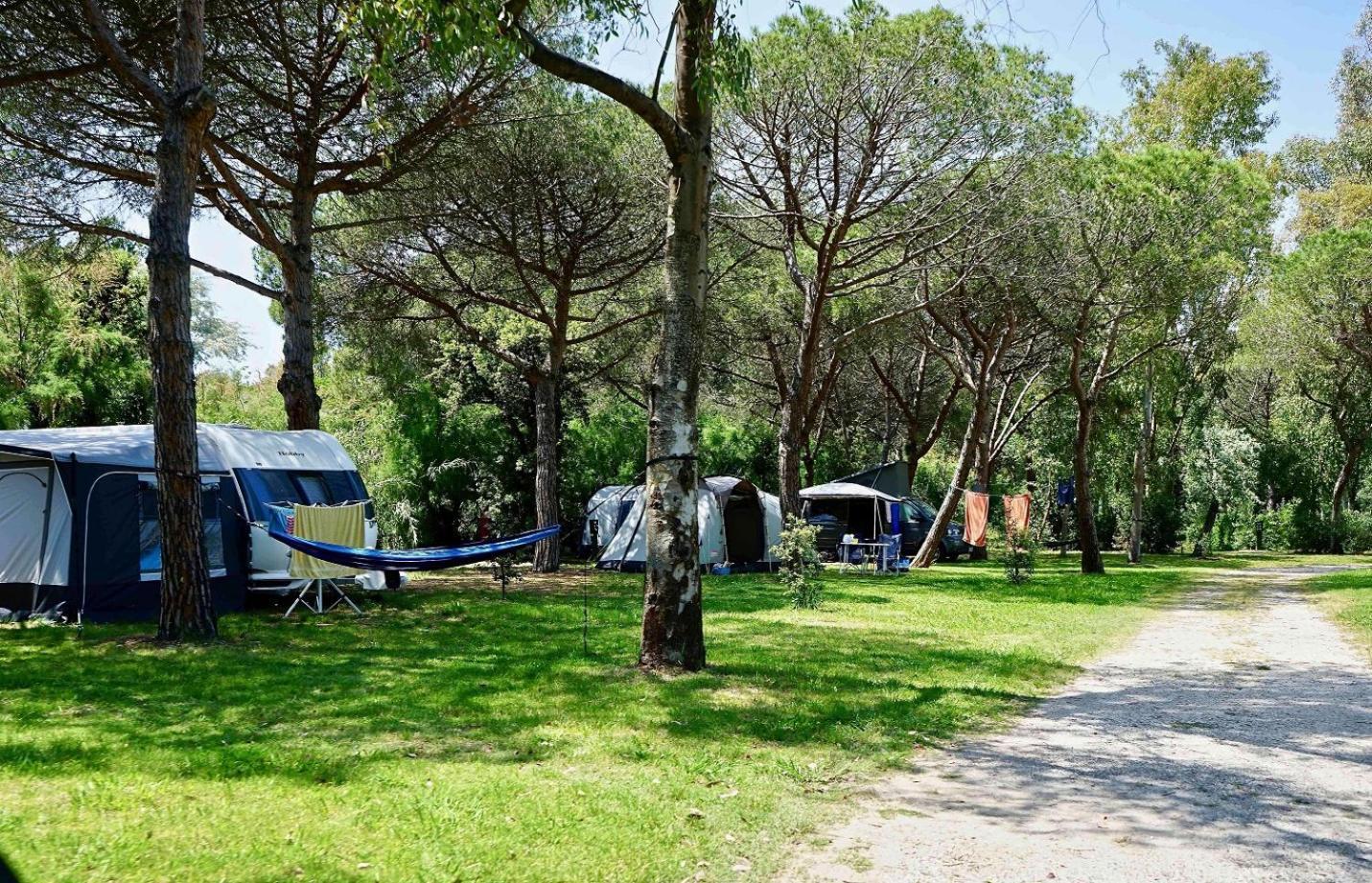 Camping Campo Dei Fiori 瓦达 外观 照片